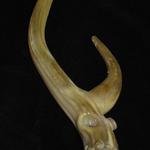 Chaz Antler Hand Pipe