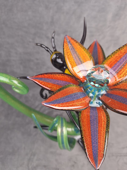 Bee & Flower Darby Banjo Collab